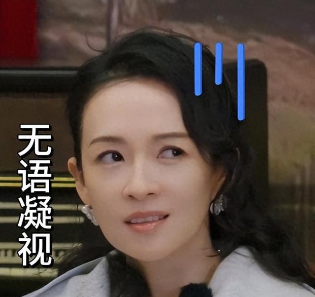 章子怡離婚后怎么46歲重返巔峰？工作與婚姻比照解析